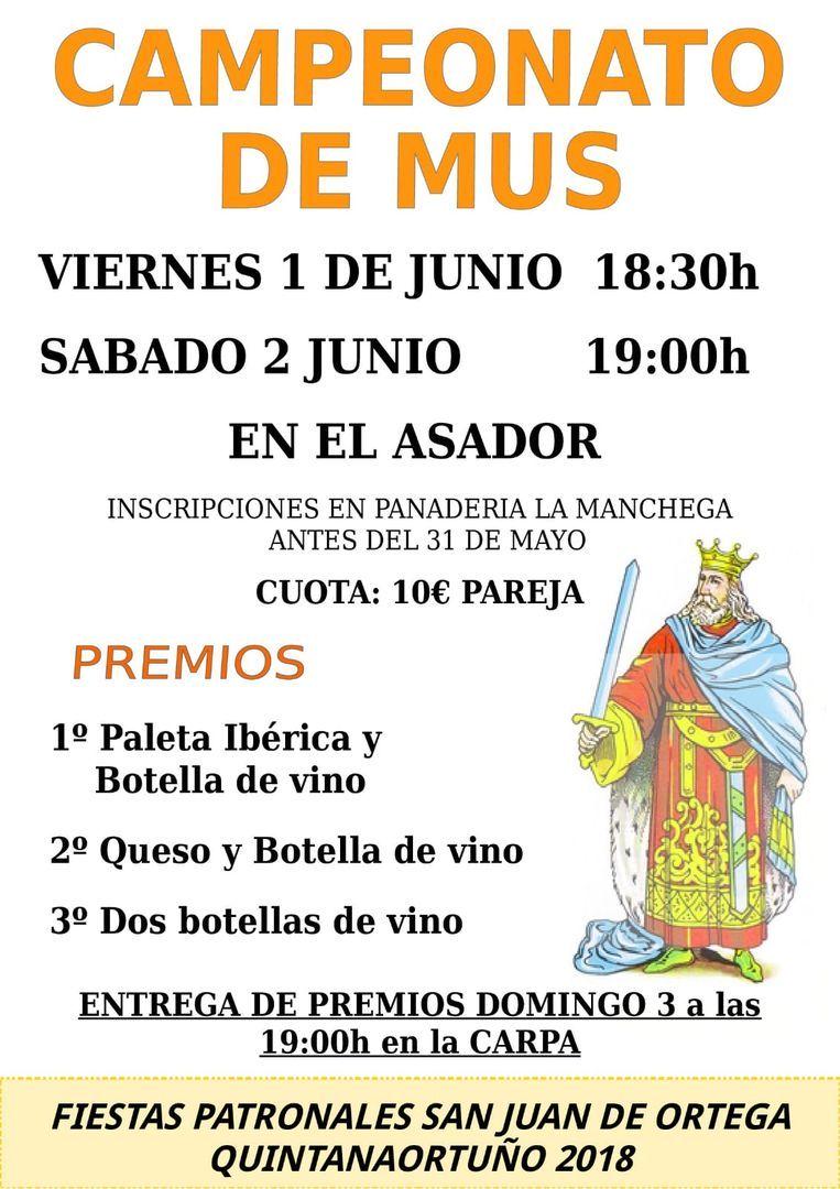 CAMPEONATOS DE FIESTAS